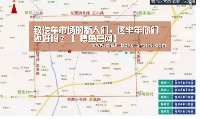 致汽车市场的新人们,这半年你们还好吗?【 博鱼官网】(图3) 博鱼官网