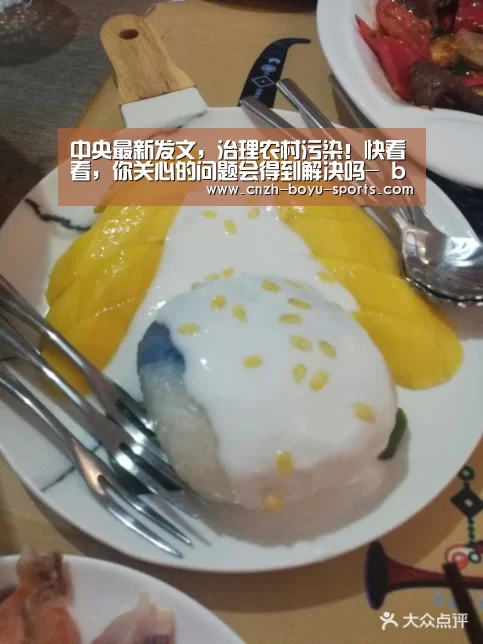 中央最新发文,治理农村污染!快看看,你关心的问题会得到解决吗- boyu tiyu(图2) boyu tiyu