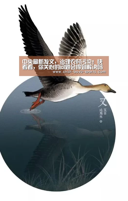 中央最新发文,治理农村污染!快看看,你关心的问题会得到解决吗- boyu tiyu(图3) boyu tiyu