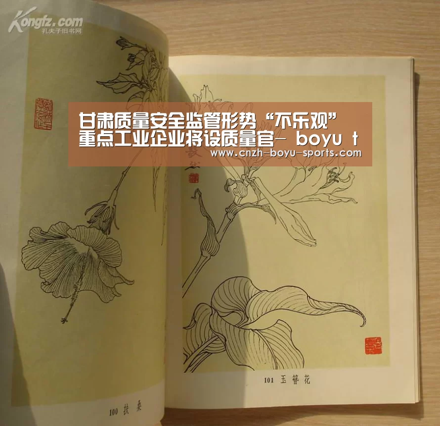 甘肃质量安全监管形势“不乐观” 重点工业企业将设质量官- boyu tiyu(图2) 博鱼体育