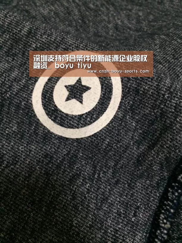 深圳支持符合条件的新能源企业股权融资_ boyu tiyu(图2) 博鱼官网