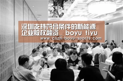 深圳支持符合条件的新能源企业股权融资_ boyu tiyu(图3) boyu tiyu